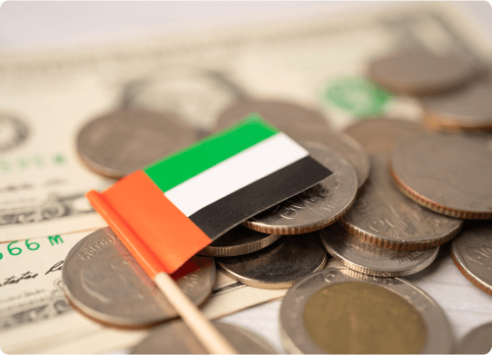 Track your cash flows seamlessly img